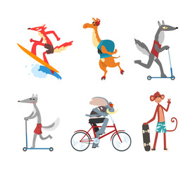 Funny Animal Riding and Driving Different Transport and Vehicle Along the Road Vector Set