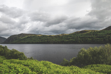 Fototapeta na wymiar Along Loch Shin - Scotland - Landscape Photography