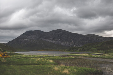 Fototapeta premium Along Loch Shin - Scotland - Landscape Photography
