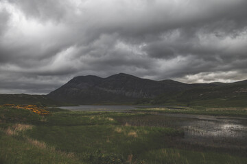 Along Loch Shin - Scotland - Landscape Photography