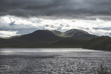 Along Loch Shin - Scotland - Landscape Photography