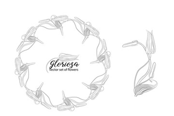 vector set of flowers and beads glorasa Gloriosa