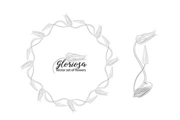 vector set of flowers and beads glorasa Gloriosa