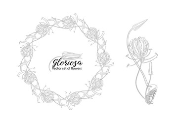 vector set of flowers and beads glorasa Gloriosa