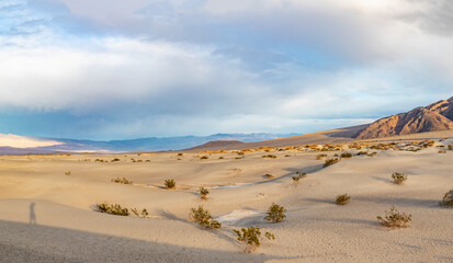 beautiful Mesquite flats in the death valley desert in sunset light © travelview