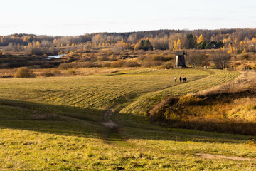 Autumn landscape with old wooden windmill. Mikhaylovskoye Museum Reserve, Pskov region, Russia