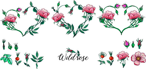 A set of vector flower compositions. The floral heart. Heart of rose flowers. Rose.