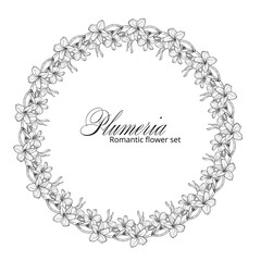 Graphic plumeria. Floral composition. Plumeria. Vector flowers. 