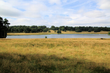 Fototapeta na wymiar A view of the Cheshire Countryside near Knutsford
