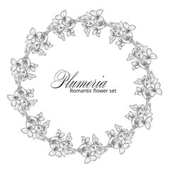 Black and white plumeria flowers. Plumeria. Flower wreath. Summer flowers. A romantic flower wreath.