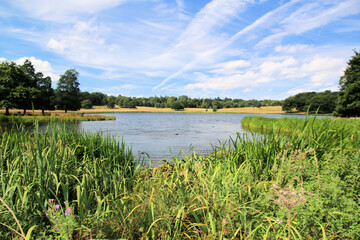 A view of the Cheshire Countryside near Knutsford