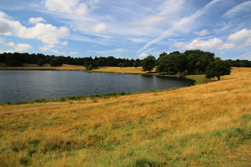 A view of the Cheshire Countryside near Knutsford