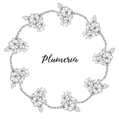 Bright flowers Plumeria. Flower arrangement. Delicate flowers. Vector flowers. 