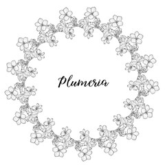 Bright flowers Plumeria. Flower arrangement. Delicate flowers. Vector flowers. 