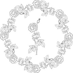 Graphic roses. Flower arrangement. Roses. Vector roses. Floral wreath. 
