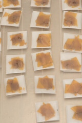 Gloved Hand Examines Cannabis Extract