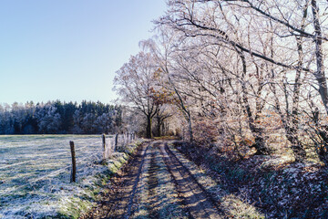 Un d&eacute;cembre gelant