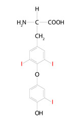 Triiodothyronine (T3).  One of the two major hormones secreted by the thyroid gland. Chemical formula.
