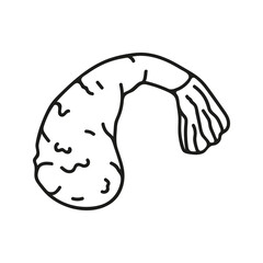 Japanese shrimp tempura in hand drawn doodle style. Asian food for restaurants menu