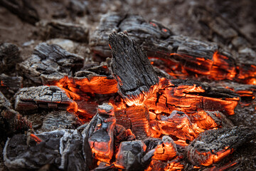 Close up of burning coals of campfire