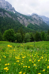 Foggy landscape in the Bavarian Alps in Berchtesgaden