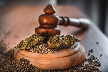 Legality of Medical Cannabis and Seeds, legal and illegal Cannabis, Seeds on the World - Wooden judge hammer and sound block with seeds and flower of marijuana CBD on the pinewood table background.