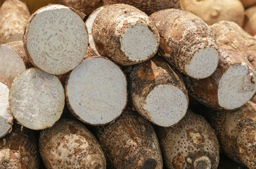 fresh raw taro in pile as food background