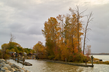 Naklejka premium Finn Slough Autumn Fraser River. Finn Slough in Fall on the banks of the Fraser River near Steveston in Richmond, British Columbia, Canada.