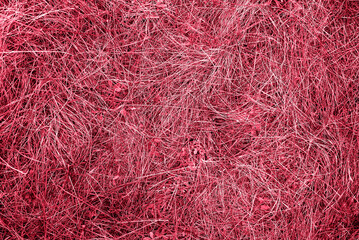 Viva Magenta, color of 2023 Fresh grass texture. Preparation for designers