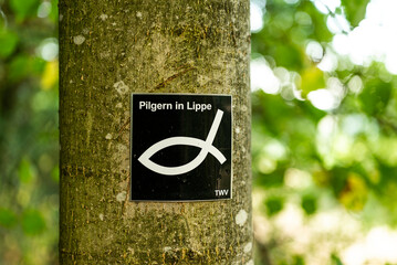 Trail marker signs for the “Pilgern in Lippe” long distance hiking trail on a tree, Teutoburg...