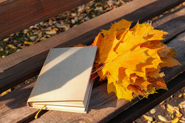 Wooden bench with book and yellow dry leaves outdoors, above view. Autumn atmosphere