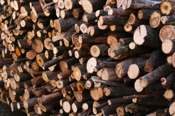 Stack of cut firewood as background, closeup view