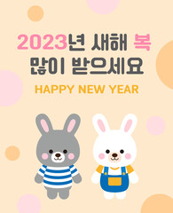 Cute and smiling two rabbit character illustration for 2023 new year concept. 2023 is called 'the year of the rabbit' in Korea. It says 'Happy New Year' in Korean.