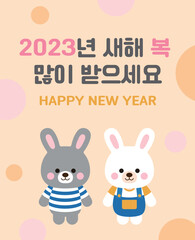 Cute and smiling two rabbit character illustration for 2023 new year concept. 2023 is called 'the year of the rabbit' in Korea. It says 'Happy New Year' in Korean.