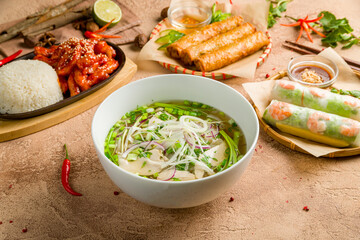 Vietnamese soup Pho GA, fresh spring rolls Nem, fried spring rolls with pork and chicken with rice, vietnamese cuisine