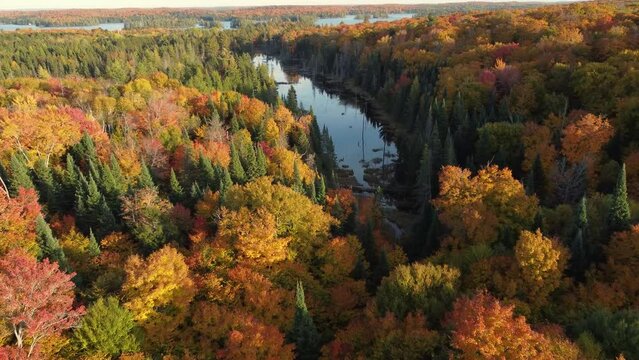 Don Valley Brick Works Park Bayview foilage Ave Toronto Canada