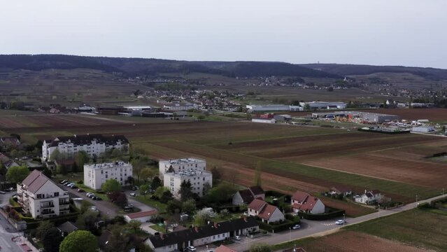 Rows of wine vines growling near city in France (4k 30p Drone)