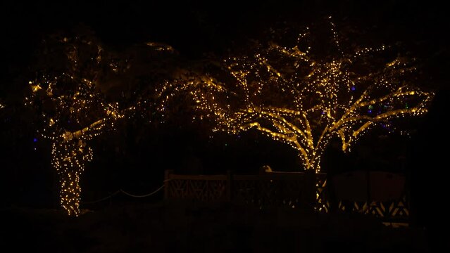 A small bridge in a park with Christmas lights in the trees and people walking by