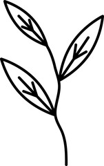 Willow leaf icon line symbol illustration on white background..eps