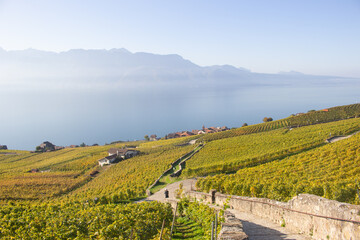 Lavaux, Switzerland: Lake Geneva and the Swiss Alps landscape seen from Lavaux vineyard hiking...