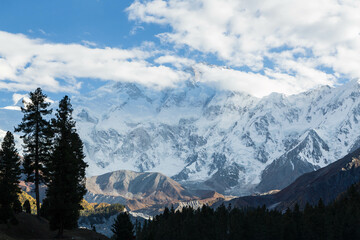 Mountain range next to Nanga Parbat mountain peak with forest from Fairy Meadow. Gilgit, Pakistan