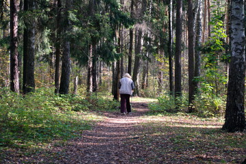 An elderly woman walks along a forest path on a summer day. Moscow region. Russia