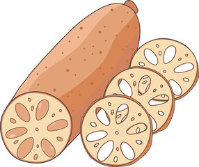 Lotus Root Slice Delicious Vegetable Vector Illustration Graphic Element Design Art Card