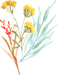 Fototapeta na wymiar watercolor floral collection 