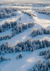 Fototapeta na wymiar aerial view of snowy forest landscape, generative AI