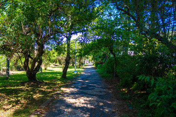 caminho dos namorados praia de jurere florianópolis santa catarina brasil