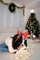 Happy woman enjoy playing with cute friend border collie dog at cozy home in christmas time. Young...