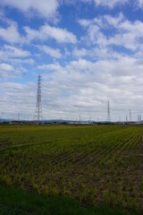 雲の多い青空と遠くまで広がった畑の中に鉄塔の並ぶ光景