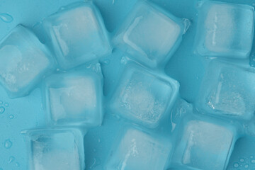 Fototapeta premium ice cubes with water drops close-up on a blue background