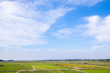 田園風景　rural scenery